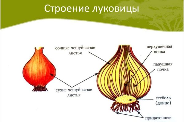 Взломанный аккаунт кракен