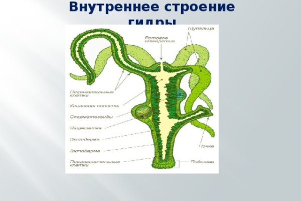 Kraken12 at сайт